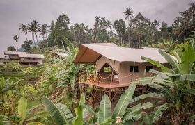 Kaura - Pavilion Tent Exterior-1