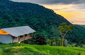 Pavilion view -moblie