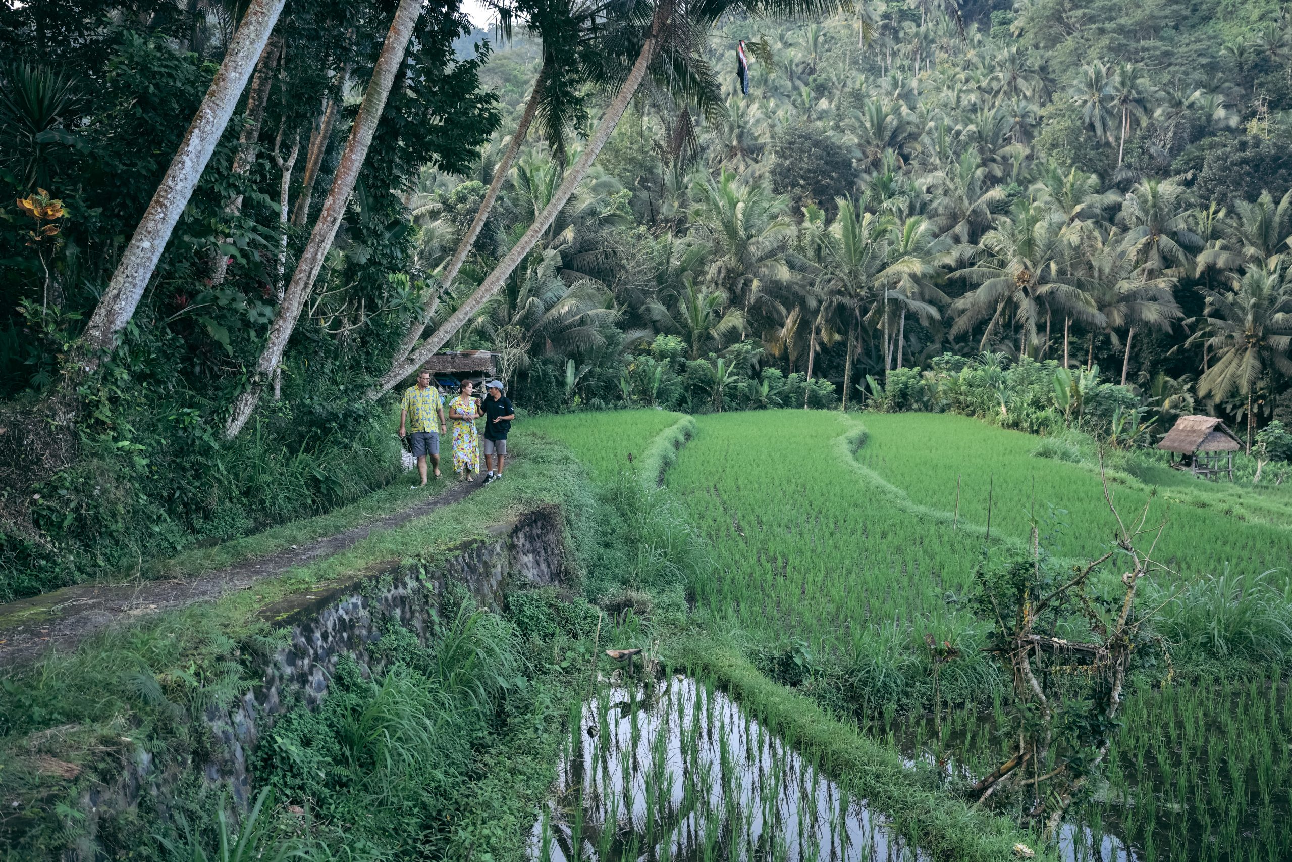 Kaura community village walk